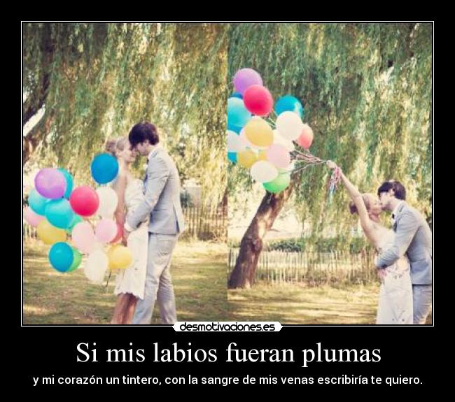 Si mis labios fueran plumas - y mi corazón un tintero, con la sangre de mis venas escribiría te quiero.