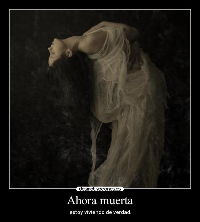 carteles solo son palabras desmotivaciones