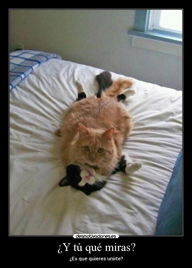 ¿Y tú qué miras? -