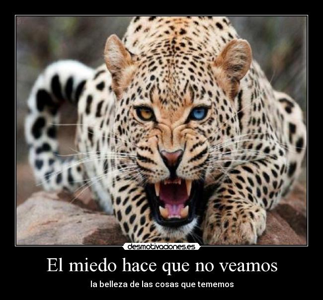 El miedo hace que no veamos -