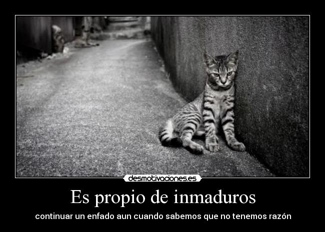 carteles inmaduro propio saber tener razon enfado ely desmotivaciones