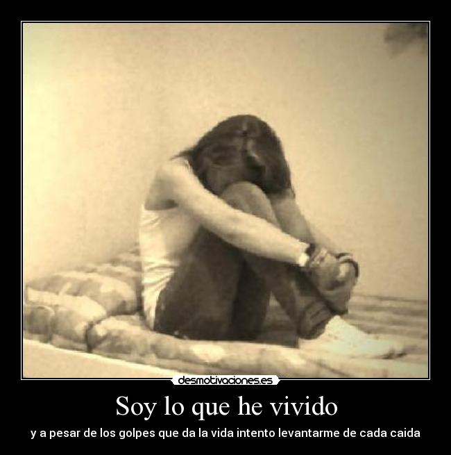 carteles mvades14 desmotivaciones