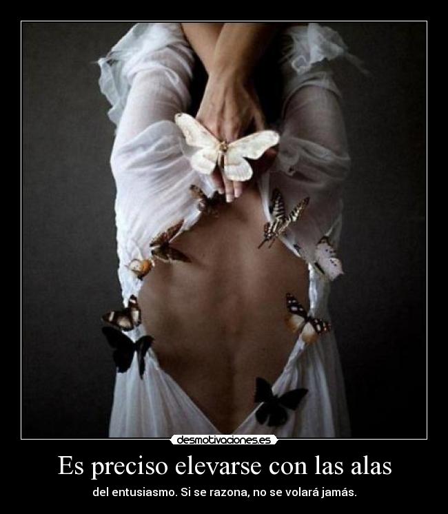 Es preciso elevarse con las alas - 