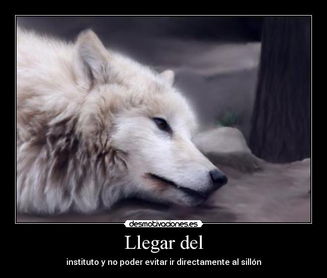 carteles lobo blanco desmotivaciones