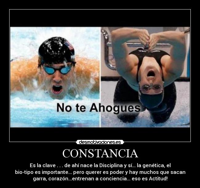 CONSTANCIA - Es la clave . . . de ahí nace la Disciplina y sí... la genética, el
bio-tipo es importante... pero querer es poder y hay muchos que sacan
garra, corazón...entrenan a conciencia... eso es Actitud!
