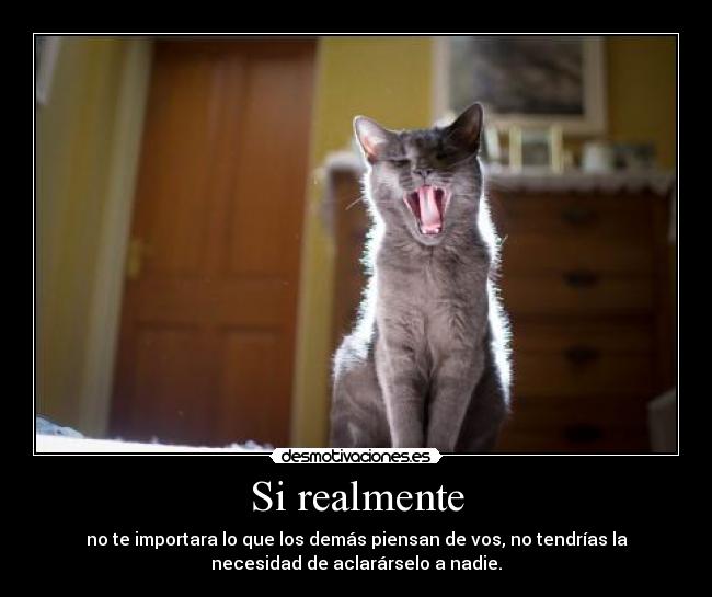 Si realmente - no te importara lo que los demás piensan de vos, no tendrías la
necesidad de aclarárselo a nadie.