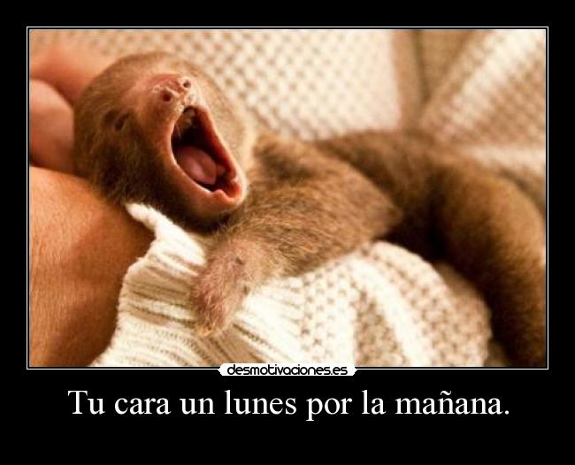 Tu cara un lunes por la mañana. -