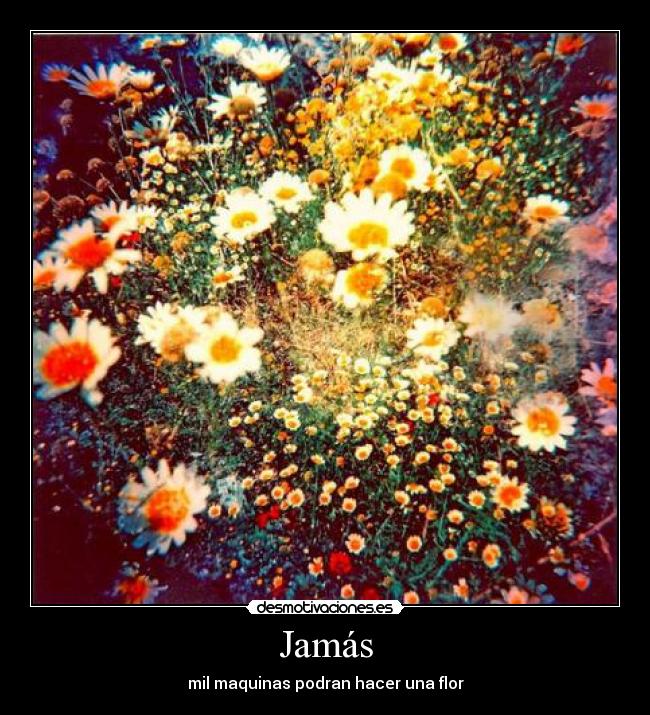 Jamás - mil maquinas podran hacer una flor