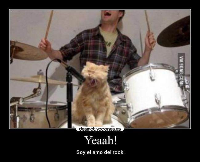 carteles rock gatosbateria musica minino dale cana desmotivaciones