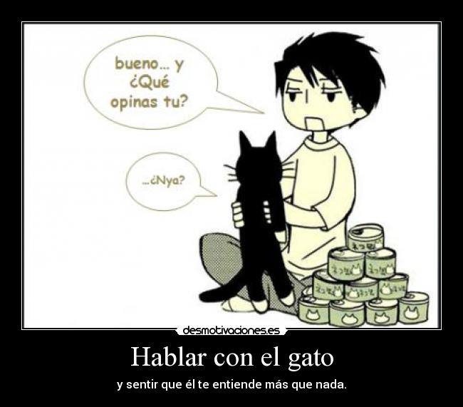 Hablar con el gato -