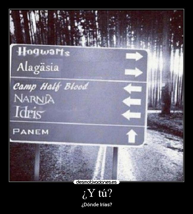 carteles libros desmotivaciones