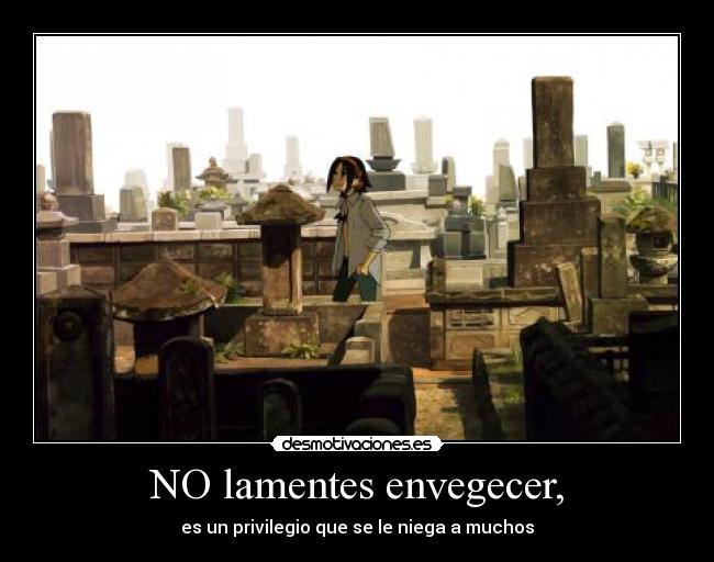 carteles lamentes envegecer privilegio niega muchos anime otaku desmotivaciones