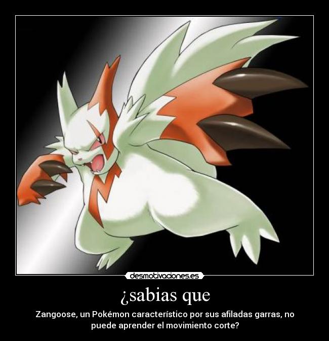 ¿sabias que - Zangoose, un Pokémon característico por sus afiladas garras, no
puede aprender el movimiento corte?