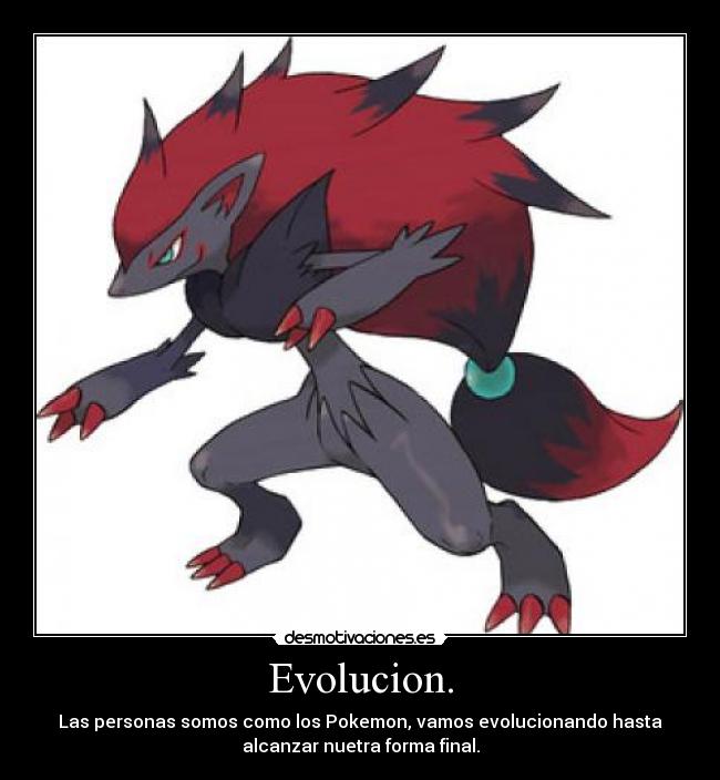 Evolucion. -