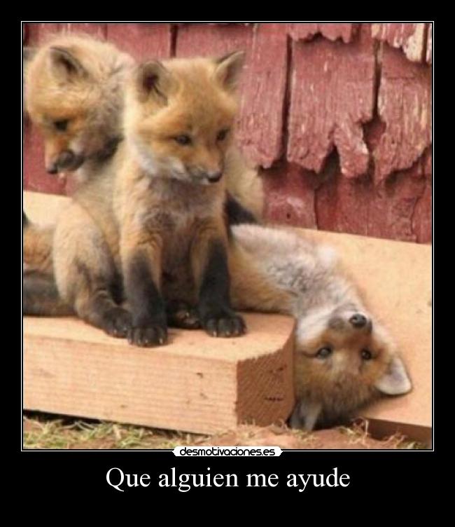 Que alguien me ayude -