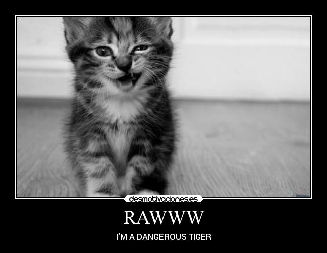 RAWWW - IM A DANGEROUS TIGER