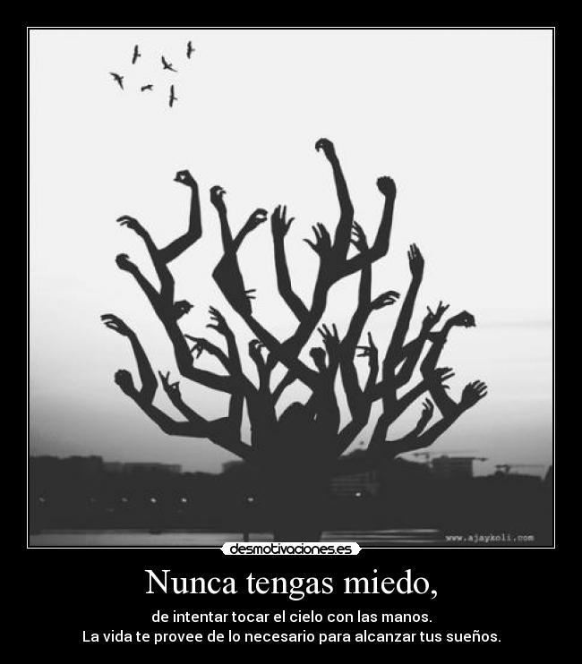 Nunca tengas miedo, - de intentar tocar el cielo con las manos.
La vida te provee de lo necesario para alcanzar tus sueños.