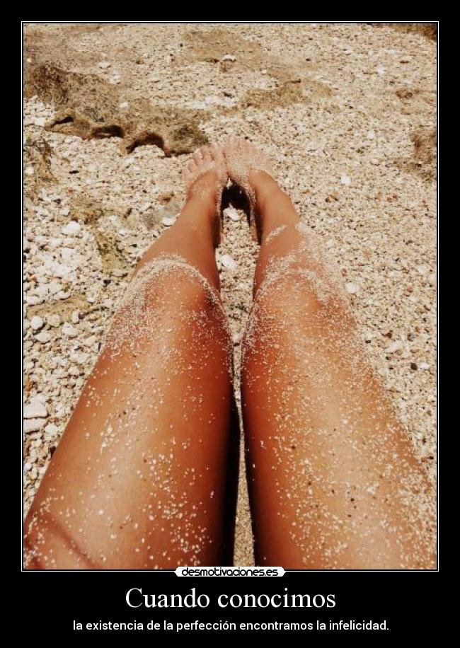 Cuando conocimos - la existencia de la perfección encontramos la infelicidad.