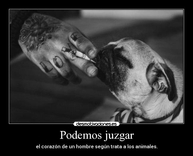 Podemos juzgar - el corazón de un hombre según trata a los animales.