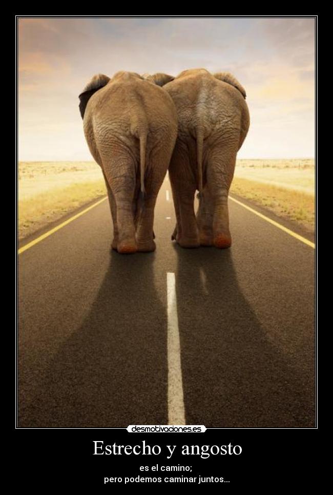 Estrecho y angosto - es el camino; 
pero podemos caminar juntos...