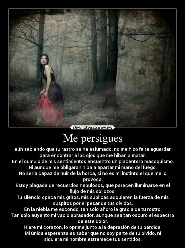 Me persigues -