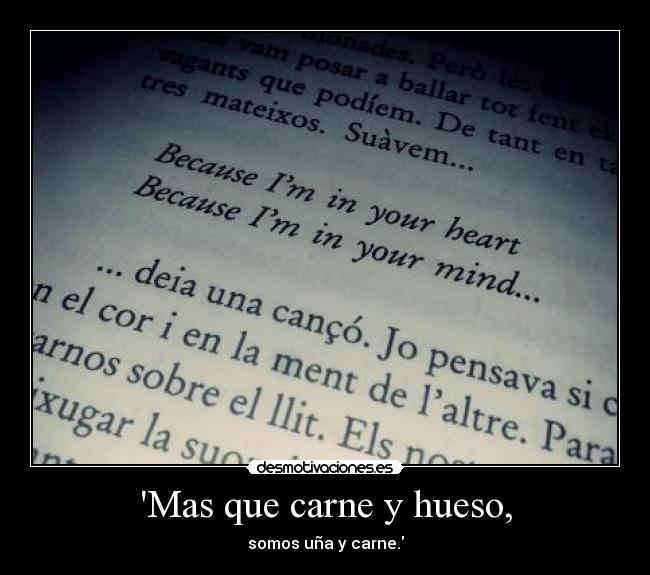 Mas que carne y hueso, - somos uña y carne.