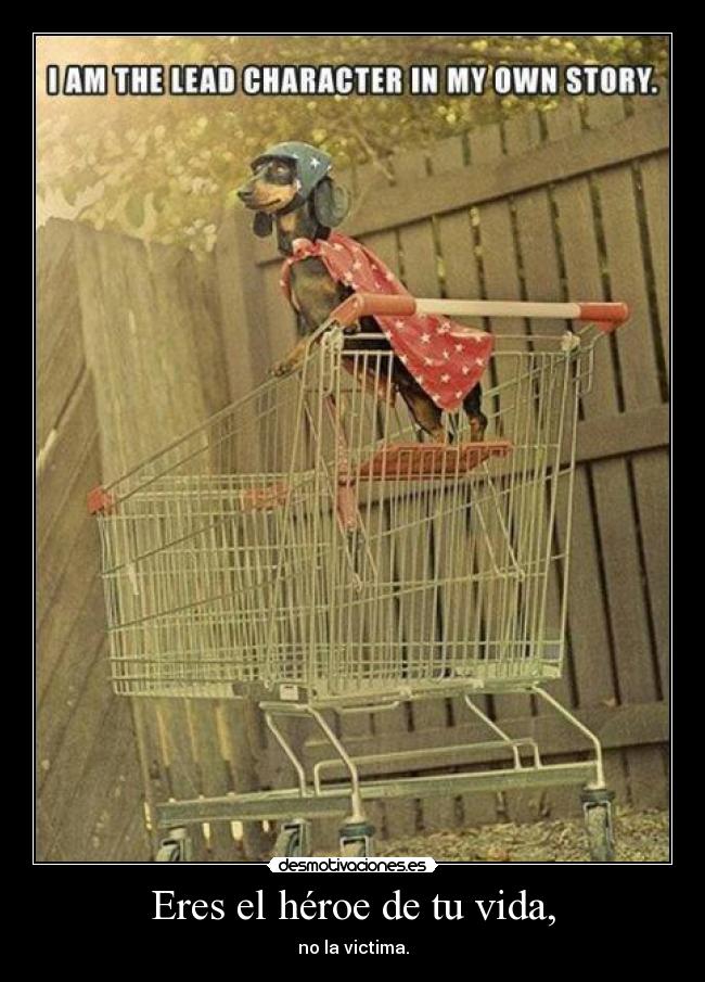 carteles vida life desmotivaciones