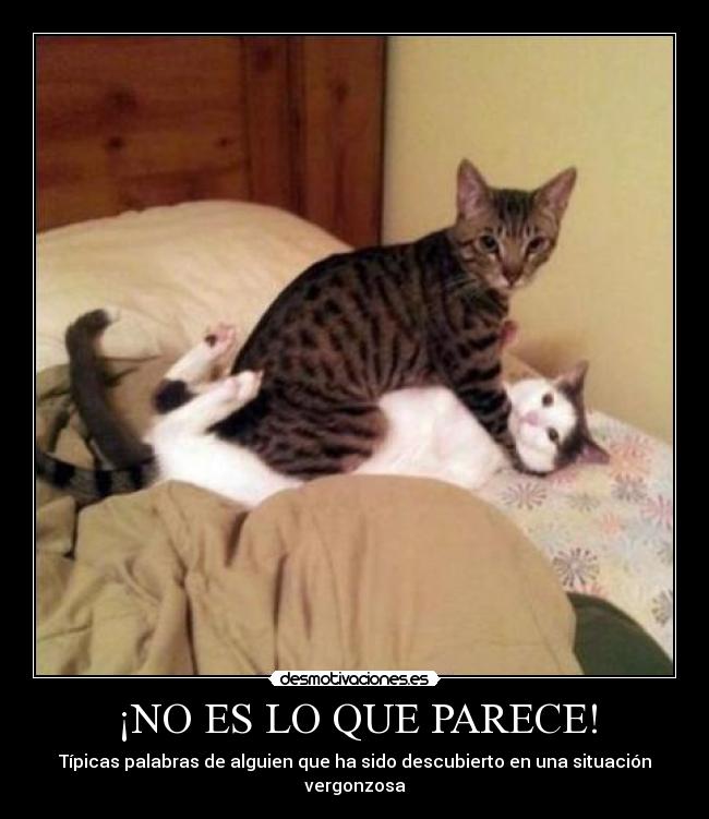 ¡NO ES LO QUE PARECE! - Típicas palabras de alguien que ha sido descubierto en una situación vergonzosa