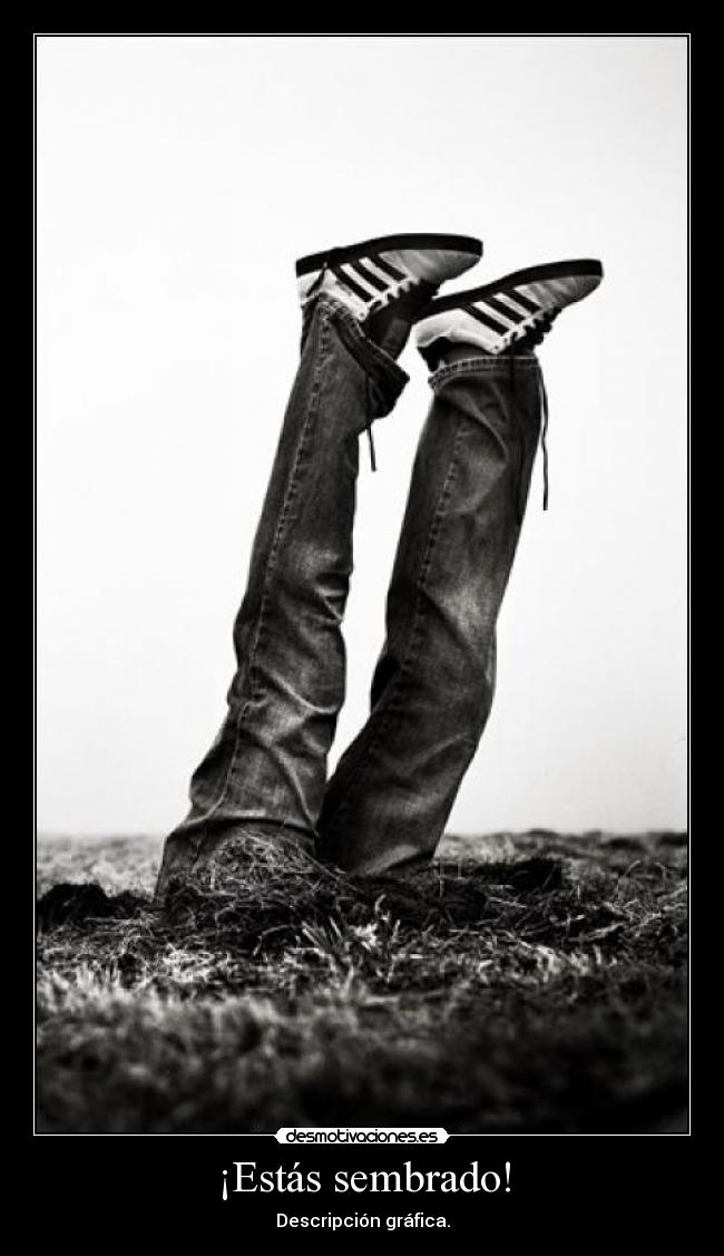 ¡Estás sembrado! - Descripción gráfica.