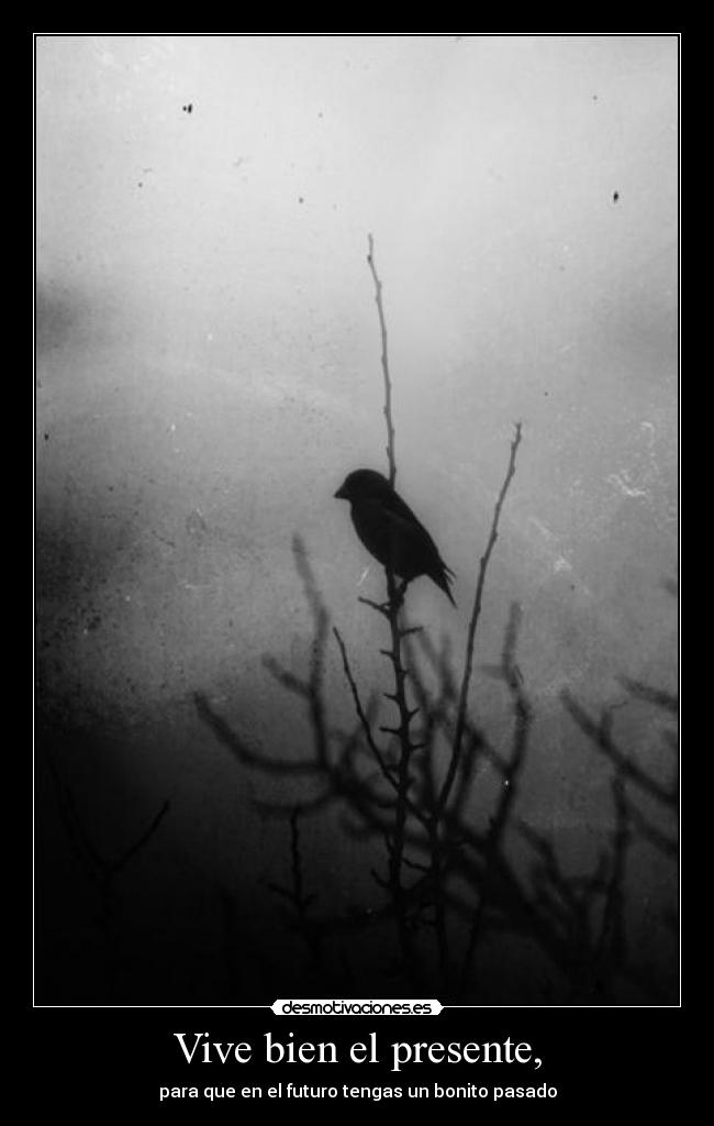 Vive bien el presente, - 