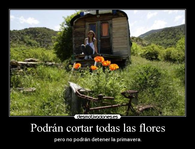 carteles flores primavera verano amor montnaas monte carabana bicicleta paisages desmotivaciones