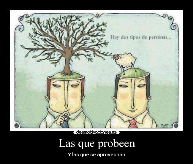 Las que probeen - Y las que se aprovechan