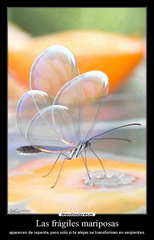 Las frágiles mariposas - aparecen de repente, pero solo si te alejas se transforman en serpientes.