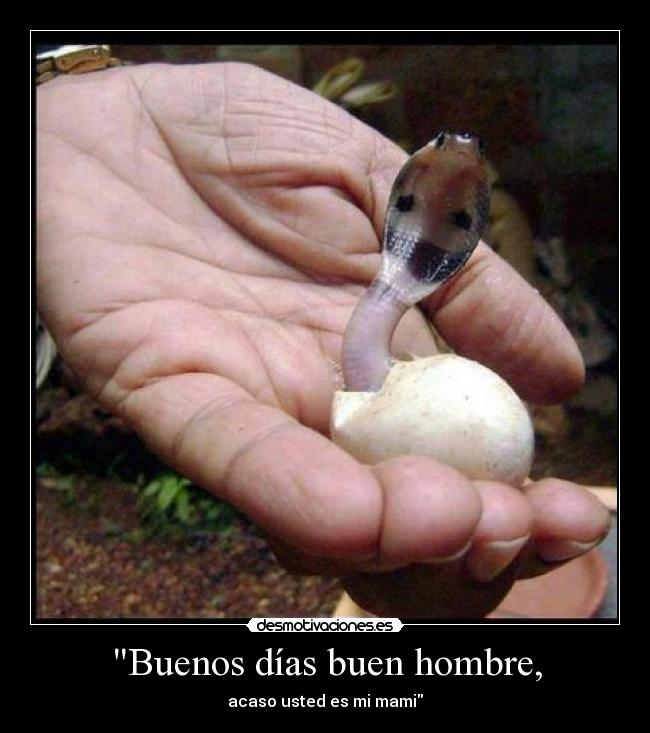 Buenos días buen hombre, - acaso usted es mi mami