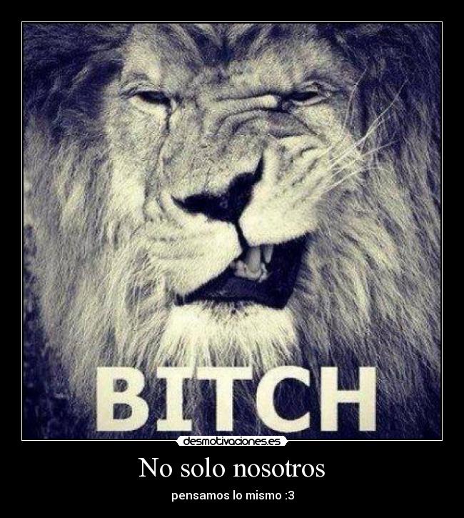 carteles raro desmotivaciones