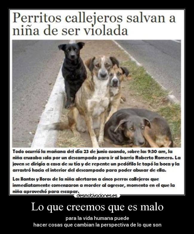 Lo que creemos que es malo - para la vida humana puede
hacer cosas que cambian la perspectiva de lo que son