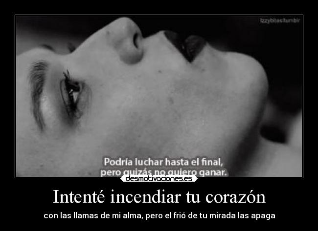 Intenté incendiar tu corazón - 