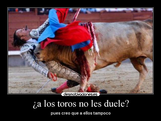 ¿a los toros no les duele? - pues creo que a ellos tampoco