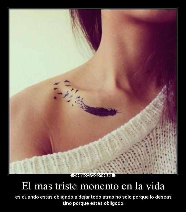 carteles vida clan catkillers saber cual diferencia mujajajaja desmotivaciones