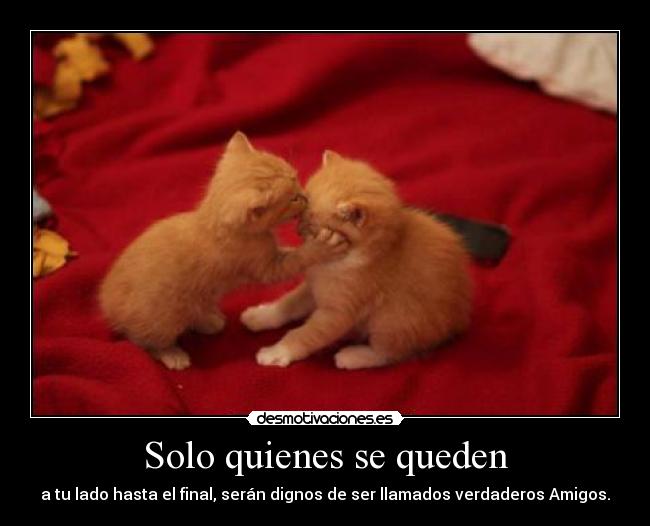 Solo quienes se queden - a tu lado hasta el final, serán dignos de ser llamados verdaderos Amigos.