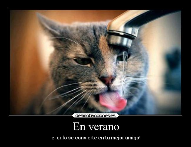 En verano - el grifo se convierte en tu mejor amigo!