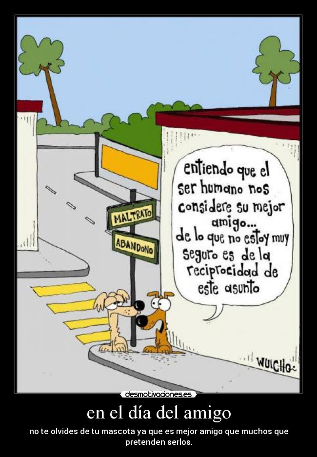 en el día del amigo - no te olvides de tu mascota ya que es mejor amigo que muchos que pretenden serlos.