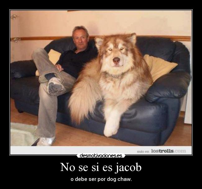No se si es jacob - o debe ser por dog chaw.