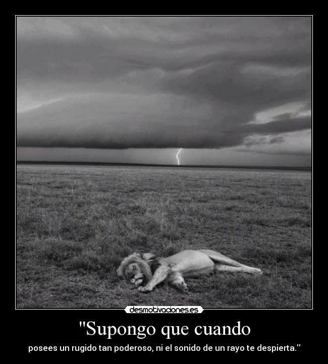 Supongo que cuando - posees un rugido tan poderoso, ni el sonido de un rayo te despierta.