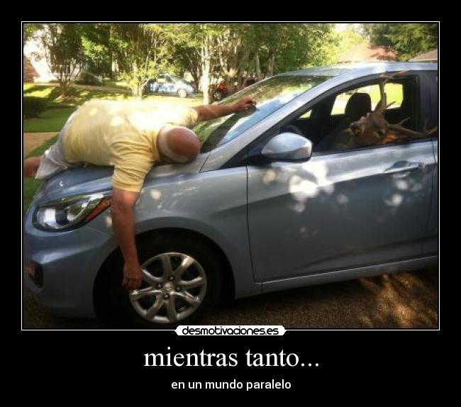 mientras tanto... - en un mundo paralelo