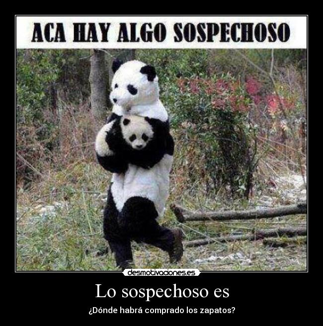 Lo sospechoso es - ¿Dónde habrá comprado los zapatos?