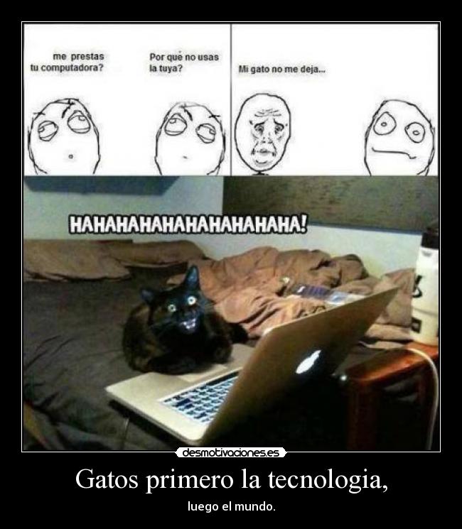 Gatos primero la tecnologia, -