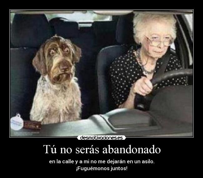 Tú no serás abandonado -