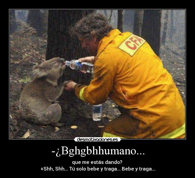 -¿Bghgbhhumano... -
