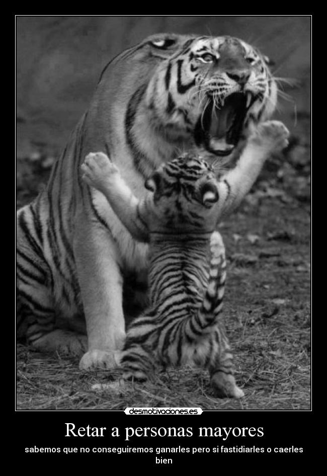 Retar a personas mayores - 